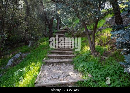 Les escaliers en bois de la colline de Filoppou, en Grèce, conduisent les visiteurs d'une allée de bois et de rochers jusqu'au sommet de celle-ci. Aventure, randonnée et mode de vie sain Banque D'Images