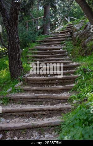 Les escaliers en bois de la colline de Filoppou, en Grèce, conduisent les visiteurs d'une allée en bois jusqu'au sommet de celle-ci. Aventure, randonnée et mode de vie sain à la nat sauvage Banque D'Images