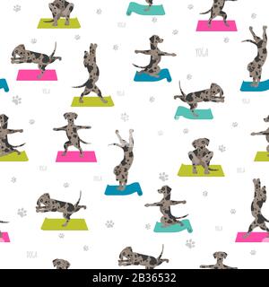 Les chiens de yoga poses et exercices affiche design. Chien de léopard Catahoula modèle sans couture. Illustration vectorielle Illustration de Vecteur