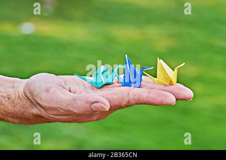 Grue traditionnelle japonaise en papier sur la main masculine comme symbole de paix et de bonheur sur fond vert. Palmier mâle avec grues en papier artisanales colorées orizuzu avec espace de copie Banque D'Images