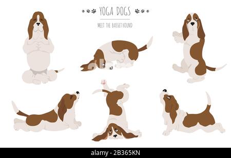 Les chiens de yoga poses et exercices. Clipart de Basset Hound. Illustration vectorielle Illustration de Vecteur