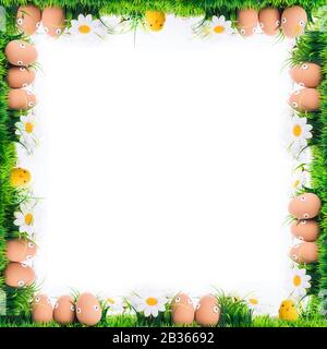 Fond de Pâques, fleurs gaies, vert de Pâques et bleu avec jaune, concept, écran, carte postale, papier peint, frais et gai, cadre, espace pour le tex Banque D'Images