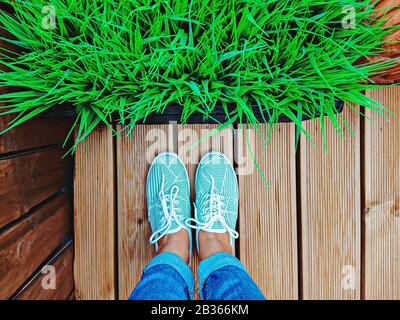 Les jambes des femmes en Sneakers à la menthe sur la terrasse sont dotées d'une herbe artificielle en pot de fleurs. Vue de dessus et point de vue personnel Banque D'Images