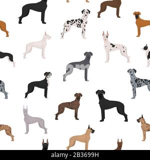 Excellent motif sans coutures. Différentes variétés de jeu de chiens de couleur de pelage. Illustration vectorielle Illustration de Vecteur