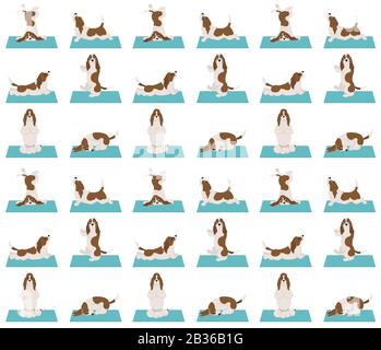 Les chiens de yoga poses et exercices. Un modèle homogène de Basset Hound. Illustration vectorielle Illustration de Vecteur