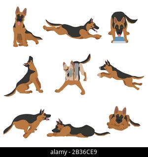 Chiens de berger allemands dans différentes poses. Jeu de caractères Shepherd. Illustration vectorielle Illustration de Vecteur