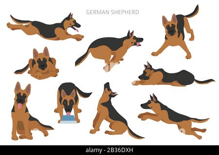 Chiens de berger allemands dans différentes poses. Jeu de caractères Shepherd. Illustration vectorielle Illustration de Vecteur