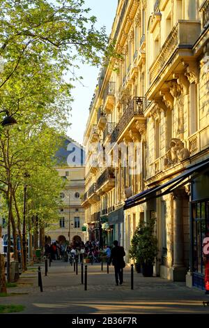 France, Paris, quartier d'Odéon, rue de Medicis avec jardin du Luxembourg et Palais du Luxembourg, siège du Sénat français en arrière-plan Banque D'Images