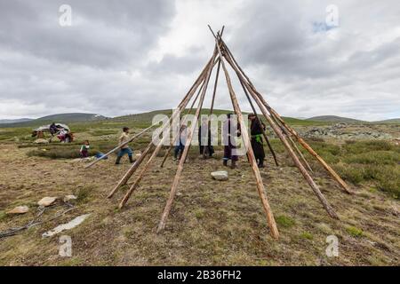 Mongolie, province de Khovsgol, près de Tsagauannur, taïga de l'Ouest, camp de Tsaatan, construction d'une tente traditionnelle, altitude 2203 mètres Banque D'Images