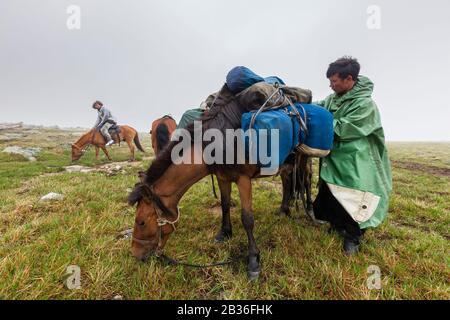 Mongolie, province de Khovsgol, près de Tsagaannuur, Taïga de l'Ouest, altitude 2611 mètres, randonnée à cheval et camping pour rencontrer le peuple tsaatan Banque D'Images