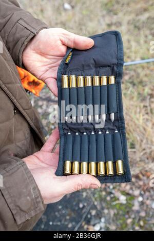 France, Alsace, forêt du Rhin, chasse grand gibier, chasse grand gibier, balles de fusil Banque D'Images