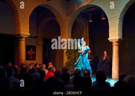 Espagne, Andalousie, Séville, quartier de la luzerne, Museo del Baile Flamenco, Musée du Flamenco, spectacle de Flamenco Banque D'Images