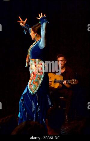 Espagne, Andalousie, Séville, quartier de la luzerne, Museo del Baile Flamenco, Musée du Flamenco, spectacle de Flamenco Banque D'Images