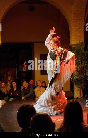 Espagne, Andalousie, Séville, quartier de la luzerne, Museo del Baile Flamenco, Musée du Flamenco, spectacle de Flamenco Banque D'Images