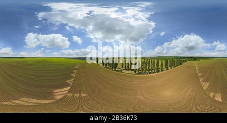 Paysage d'été. Ciel nuageux champs verts et prés jaunes. Banque D'Images