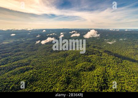 France, Guyane française, zone non explorée à la frontière entre le coeur du parc amazonien de la Guyane française et La Réserve naturelle nationale de la Trinité, fin de saison sèche, mission scientifique multidisciplinaire d'inventaire Haut Koursibo, vue aérienne sur la forêt tropicale depuis l'hélicoptère de l'équipe scientifique Banque D'Images