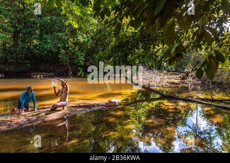 France, Guyane française, région non explorée à la frontière entre le coeur du Parc amazonien de la Guyane française et La Réserve naturelle nationale de la Trinité, fin de la saison sèche, mission scientifique multidisciplinaire d'inventaire Haut Koursibo, ichthyologistes sur la rivière Koursibo Banque D'Images