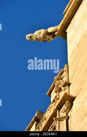 Espagne, Valence, centre historique, la Bourse de la soie, la Llotja (Lonja de la Seda), de style gothique, classée au patrimoine mondial par l'UNESCO Banque D'Images