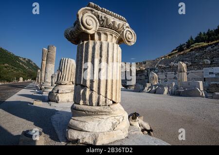 Turquie, province d'Izmir, site archéologique d'Éphèse Banque D'Images