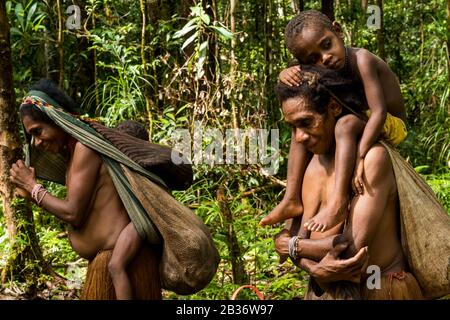 Indonésie, Papouasie Occidentale, Mabul, Expédition De Korowai Banque D'Images