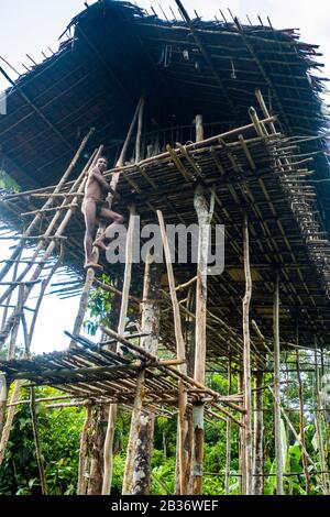 Indonésie, Papouasie Occidentale, Mabul, Expédition De Korowai Banque D'Images