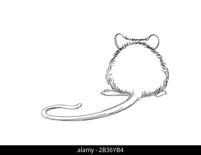 Illustration dessinée à la main de l'esquisse de la souris. Animal d'art de ligne isolé sur fond blanc Illustration de Vecteur