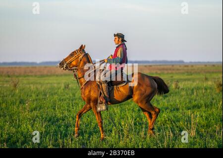 Argentine, province de Buenos Aires, Estancia San-Isidro del Llano en direction de Carmen-Casares, gaucho à cheval en voiture cattl Banque D'Images