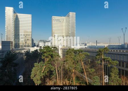 France, Paris, Bibliothèque nationale de France (BNF) François Mitterrand par l'architecte Dominique Perrault Banque D'Images