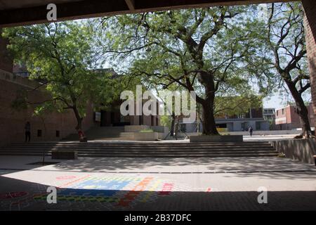 Ahmedabad / Inde / 11 avril 2017: Grands arbres dans la cour d'une bibliothèque de briques en Inde Banque D'Images