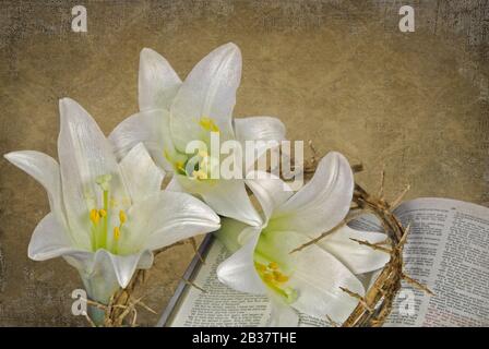 Lilas de Pâques sur la Bible ouverte avec couronne de épines Banque D'Images