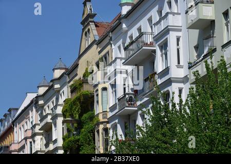 Altbauten, Immanuelkirchstrasse, Prenzlauer Berg, Pankow, Berlin, Deutschland Banque D'Images