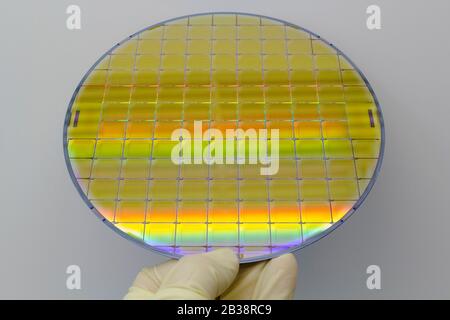 Plaquettes de silicium et microcircuits - UNE plaquette est une fine tranche de matériau semi-conducteur, tel qu'un silicium cristallin, utilisé dans l'électronique pour le Banque D'Images