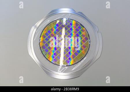 Galette de silicium avec micropuces fixée dans le support avec cadre en acier sur fond gris et prête à l'emploi . Banque D'Images
