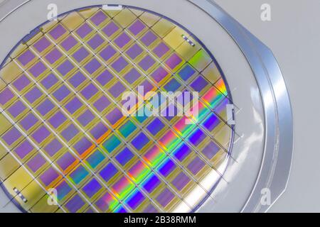 Galette de silicium avec micropuces fixée dans le support avec cadre en acier sur fond gris et prête à l'emploi . Banque D'Images