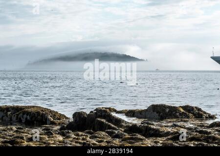 Le brouillard matinal couvre l'une des îles de porc-épic de la baie Frenchman's, Bar Harbour Maine. Banque D'Images