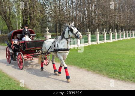 RUSSIE MOSCOU -24 avril 2019 Coachman dans le manteau montez en autocar avec un cheval et gardez les rênes dans le parc spring Banque D'Images