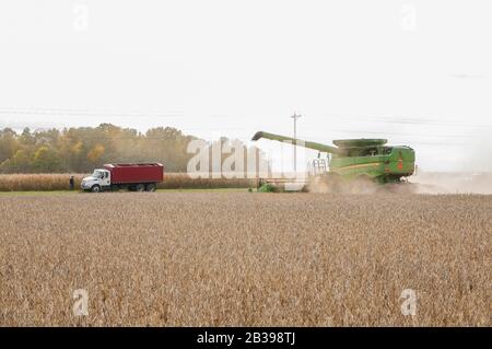 Moissonneuse-batteuse récolte du soja . La moissonneuse-batteuse se dirige vers le chariot de transport pour décharger une charge de soja. Banque D'Images