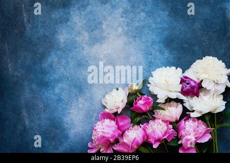 Fond floral avec de belles pivoines blanches roses sur fond bleu vif. Anniversaire, Saint Valentin, Happy Mother's day ou Women's Day concept. Co Banque D'Images