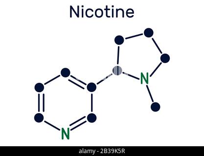 Molécule de la nicotine, alcaloïde , est trouvé dans la famille de plantes. Formule chimique structurels. Vector illustration Illustration de Vecteur