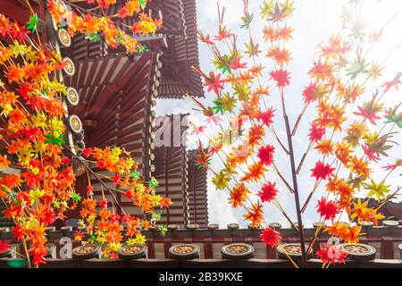 Singapour Singapour 1er septembre 2019 : le célèbre temple relique Bouddha de la dent à Chinatown décoré de lanternes rouges et de plantes . Banque D'Images