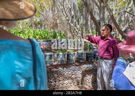 Yanhuitlan, Oaxaca, Mexique - Julio Miguel Ramírez parle avec les visiteurs de son travail pour restaurer le paysage érodé autour de sa maison. Il utilise divers Banque D'Images