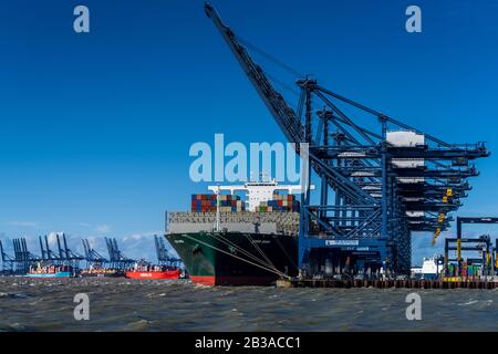 Le commerce a été retardé par de forts vents. Le navire à conteneurs Jamais Donné attend que les vents tombent avant de décharger les conteneurs d'expédition au port Felixstowe Royaume-Uni Banque D'Images