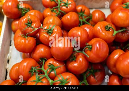 Belles tomates rouges sur une branche dans un tiroir dans un supermarché. Tomates fraîches mûres biologiques à vendre. Magasin De Légumes Frais De L'Épicerie Banque D'Images