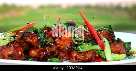 Poulet Chili chinois en gros plan Banque D'Images