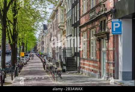 Beaux trottoirs à Amsterdam plein d'arbres Pays-Bas Banque D'Images