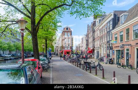 Beaux trottoirs à Amsterdam plein d'arbres Pays-Bas Banque D'Images