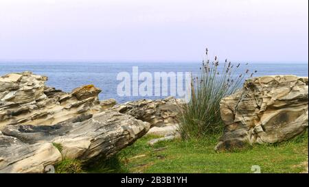 Montez avec de l'herbe et du calcaire sur la côte de la mer Banque D'Images