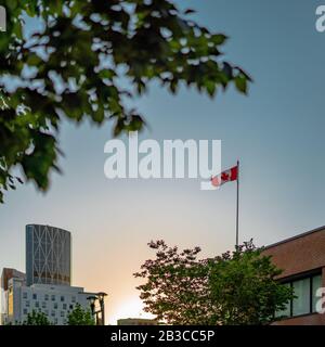 Coucher de soleil du centre-ville de Calgary Drapeau du Canada au coucher du soleil de Calgary. Image des actualités. Banque D'Images