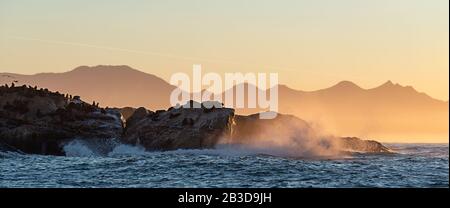 Seascape of Storm Morning. La colonie de phoques sur l'île rocheuse dans l'océan. Vagues se brisant en spray sur une île de pierre. Baie de Mossel. Afrique Du Sud Banque D'Images