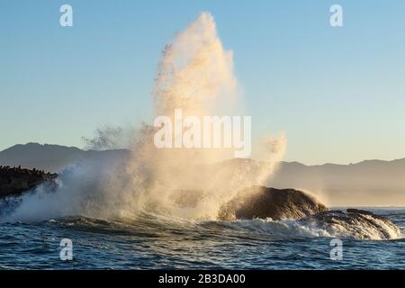 Seascape of Storm Morning. La colonie de phoques sur l'île rocheuse dans l'océan. Vagues se brisant en spray sur une île de pierre. Baie de Mossel. Afrique Du Sud Banque D'Images